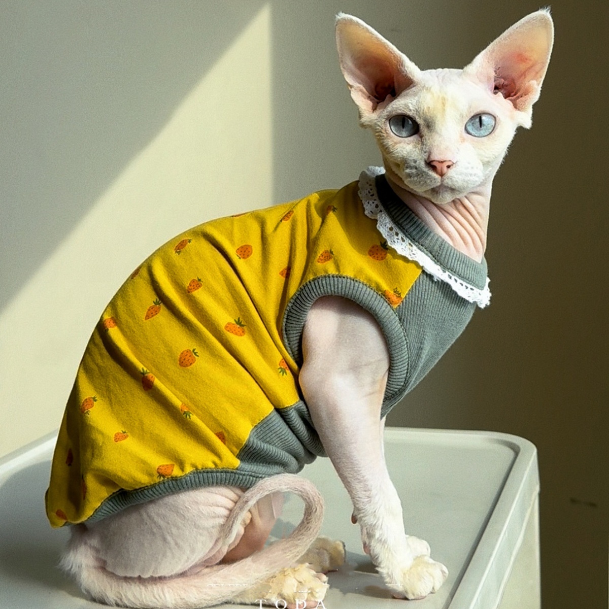 Summer Green Clothing - Clothing for Cat Spring Sweet Yellow